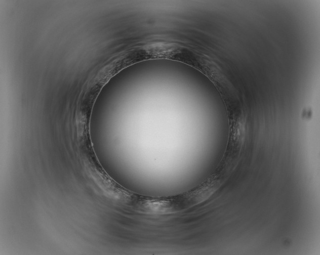 X0000111210283200907011452