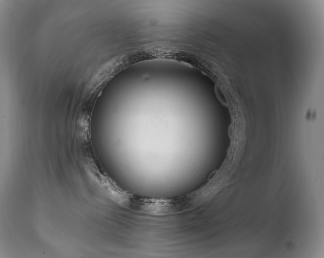 X0000111210288200907011452