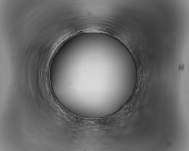 X0000111210289200907011452