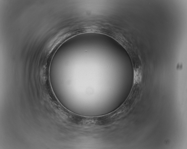 X0000111210291200907011452