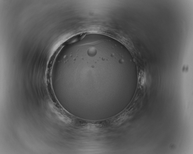 X0000111210292200907011452