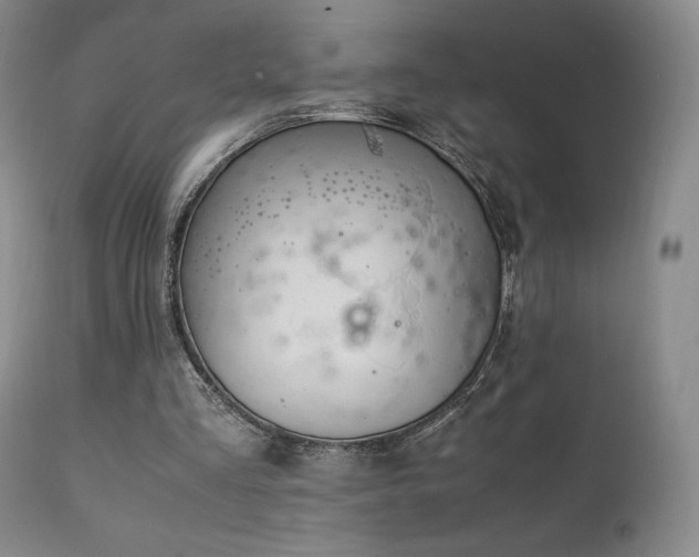 X0000111210293200907011452