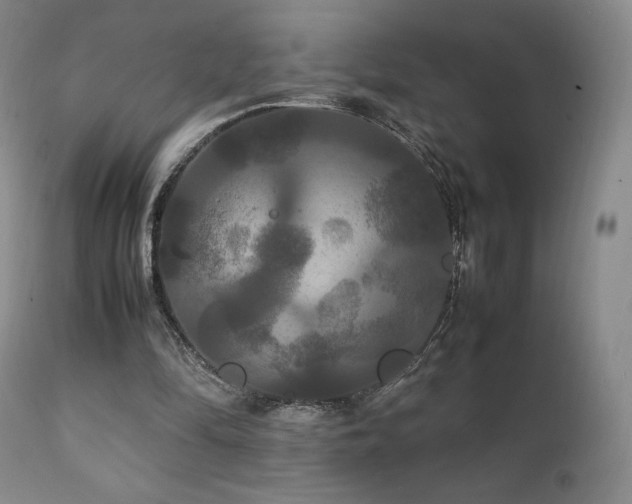 X0000111210294200907011452