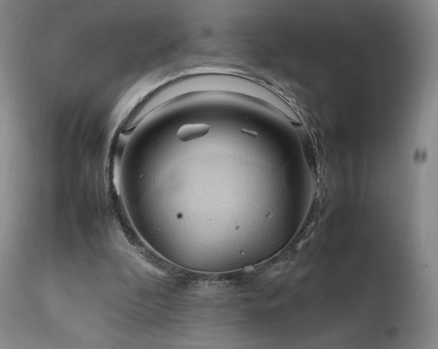 X0000111210296200907011452