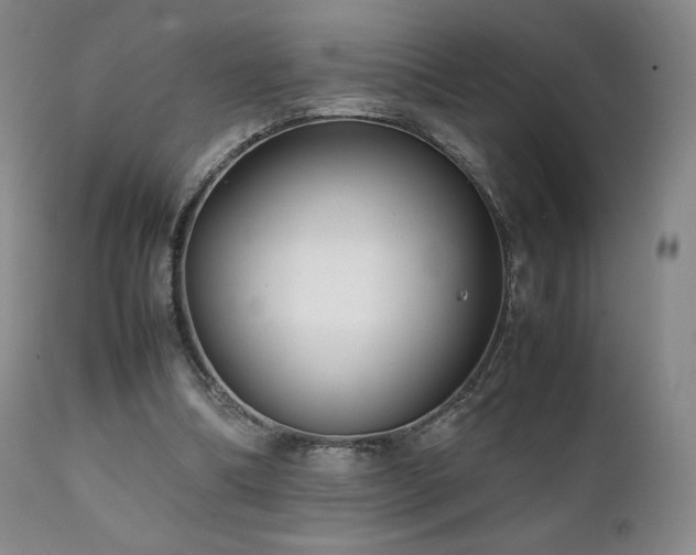 X0000111210298200907011452