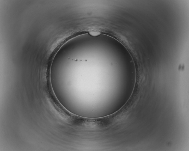 X0000111210299200907011452