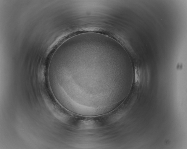 X0000111210300200907011451