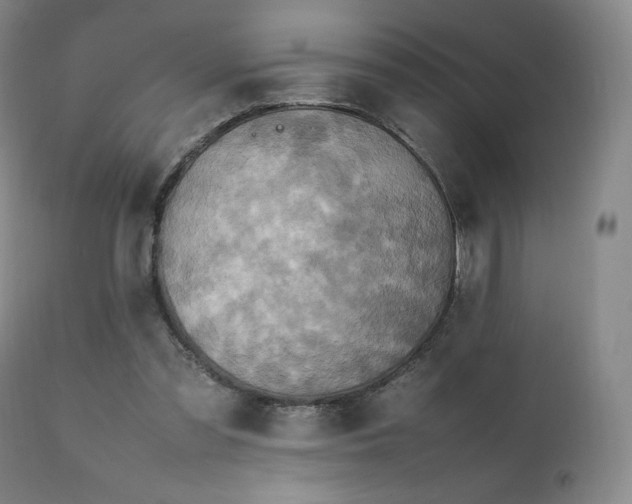 X0000111210301200907011451