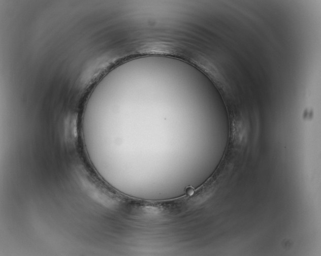 X0000111210302200907011451