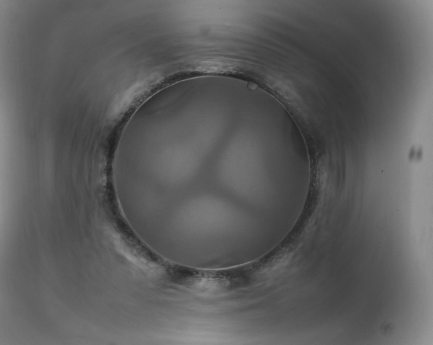 X0000111210303200907011451