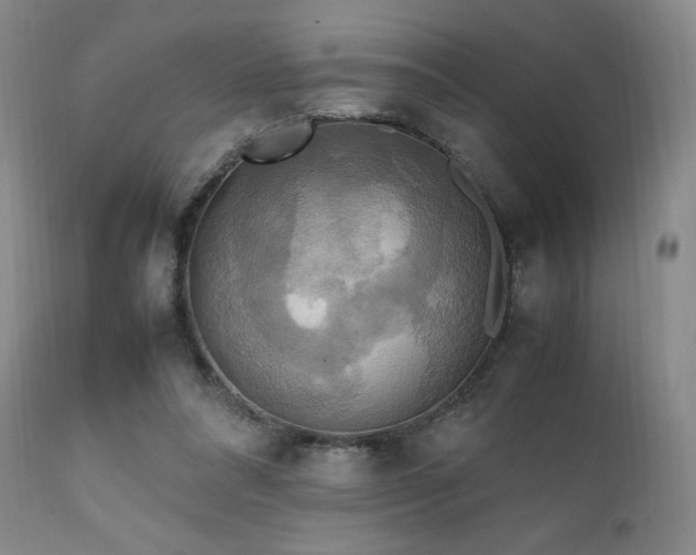 X0000111210304200907011451