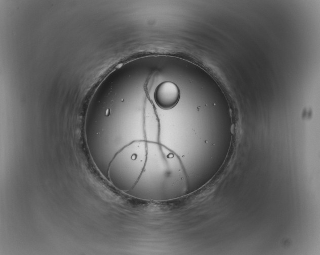 X0000111210305200907011451