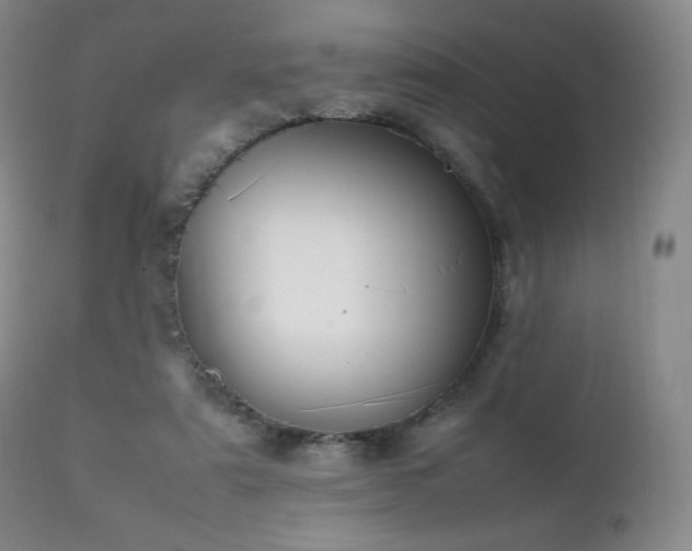 X0000111210307200907011451