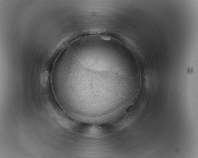 X0000111210308200907011451