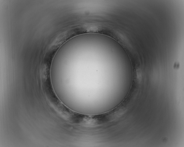 X0000111210311200907011451