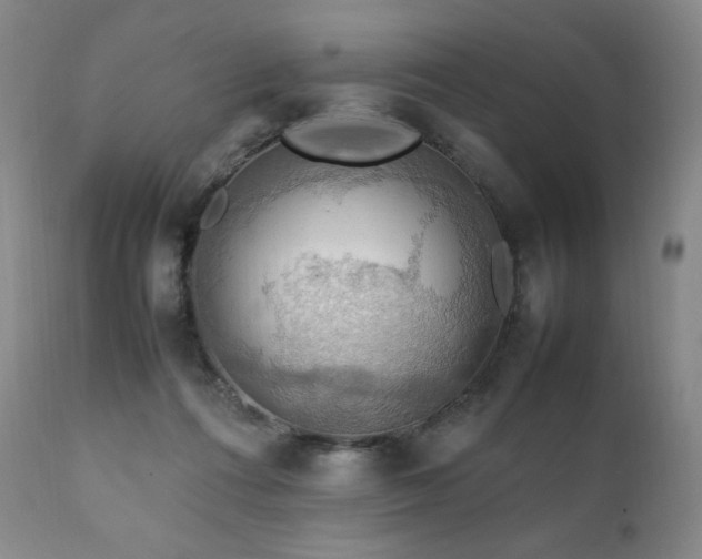 X0000111210312200907011451