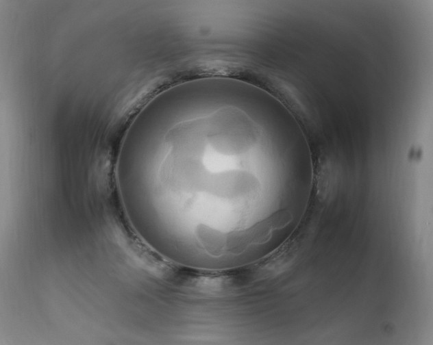 X0000111210314200907011451