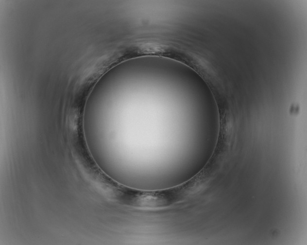 X0000111210315200907011451