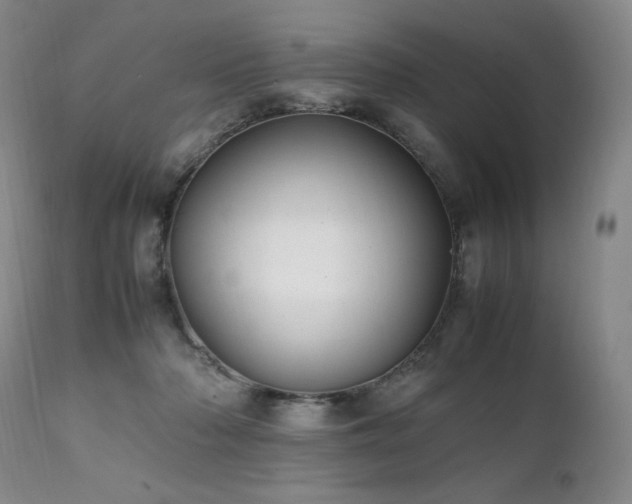 X0000111210318200907011451