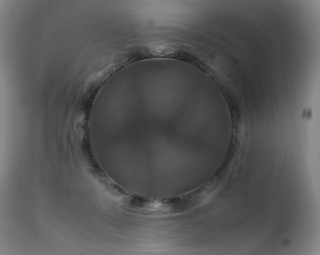 X0000111210319200907011451