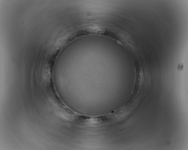 X0000111210320200907011451