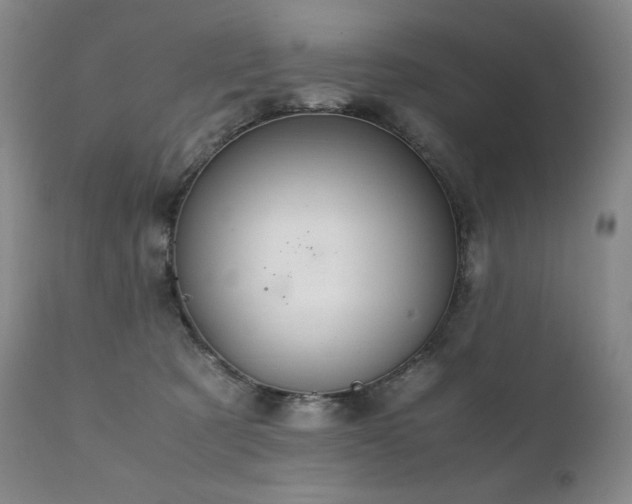 X0000111210321200907011451