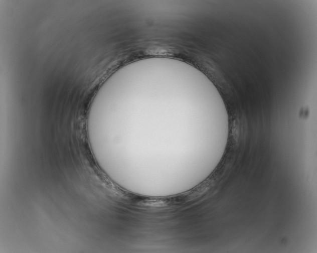 X0000111210322200907011451