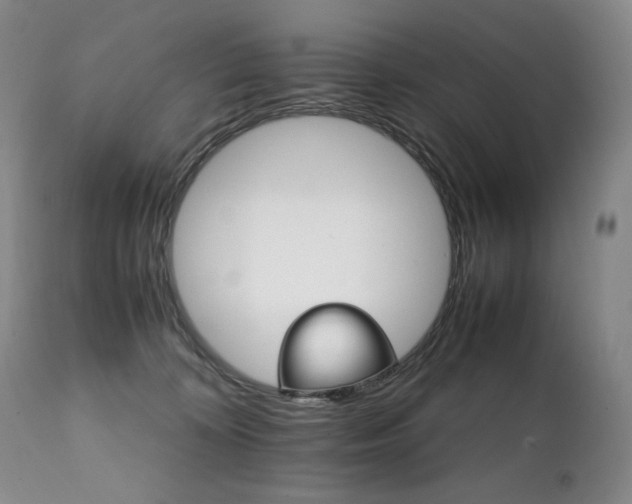 X0000111210324200907011451