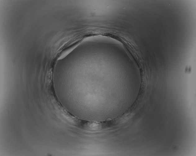 X0000111210325200907011451