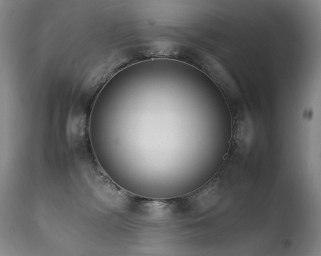 X0000111210326200907011451