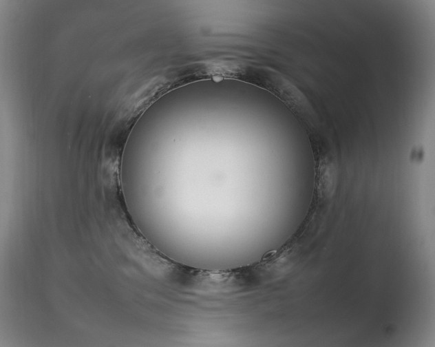 X0000111210329200907011451