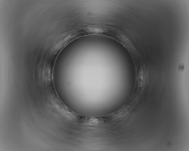 X0000111210330200907011451