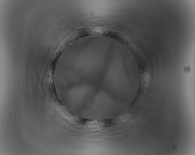 X0000111210331200907011451