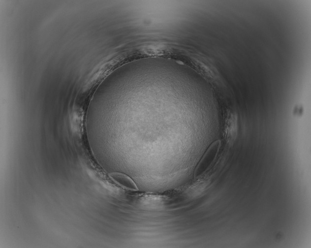 X0000111210332200907011451