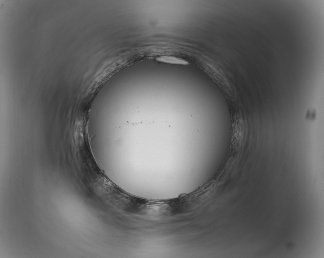 X0000111210333200907011451