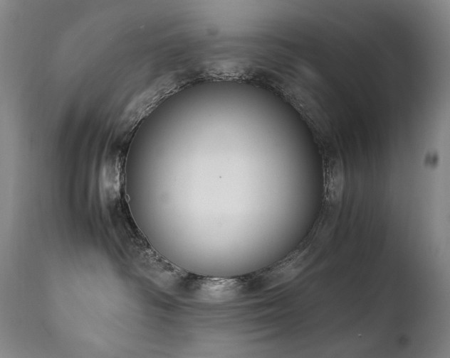 X0000111210334200907011451