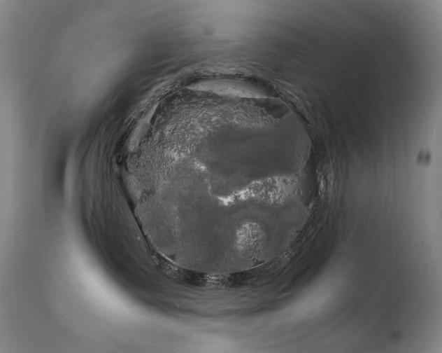 X0000111210335200907011451