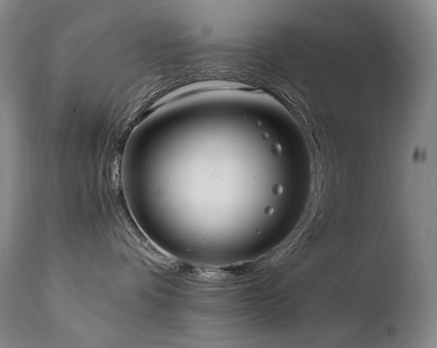 X0000111210336200907011451