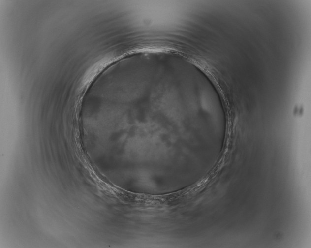 X0000111210337200907011450