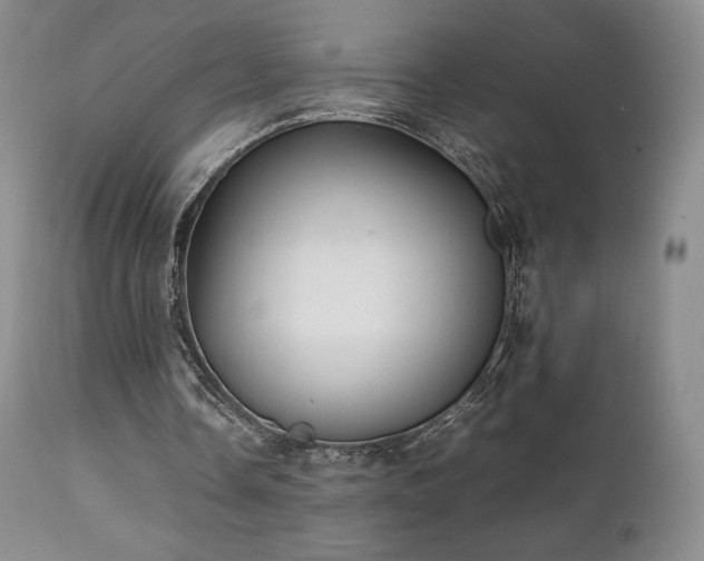 X0000111210338200907011450