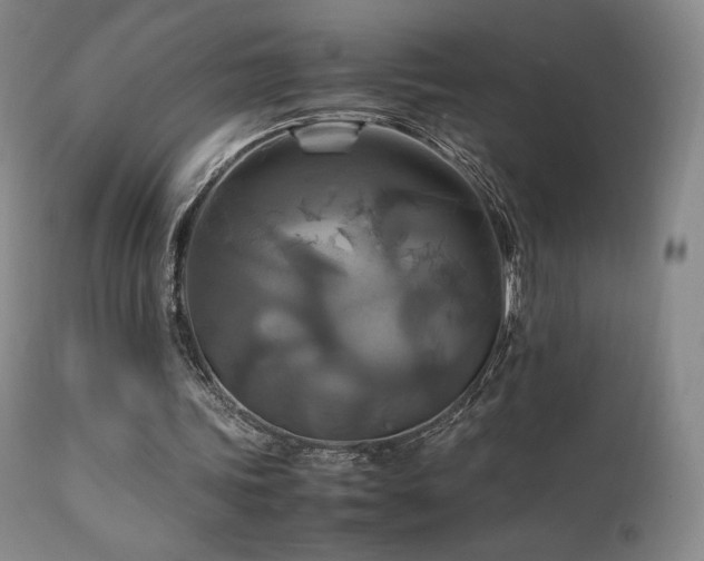 X0000111210339200907011450