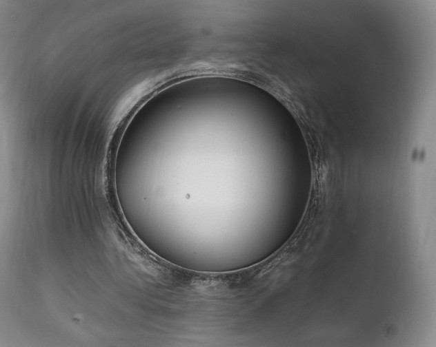 X0000111210340200907011450