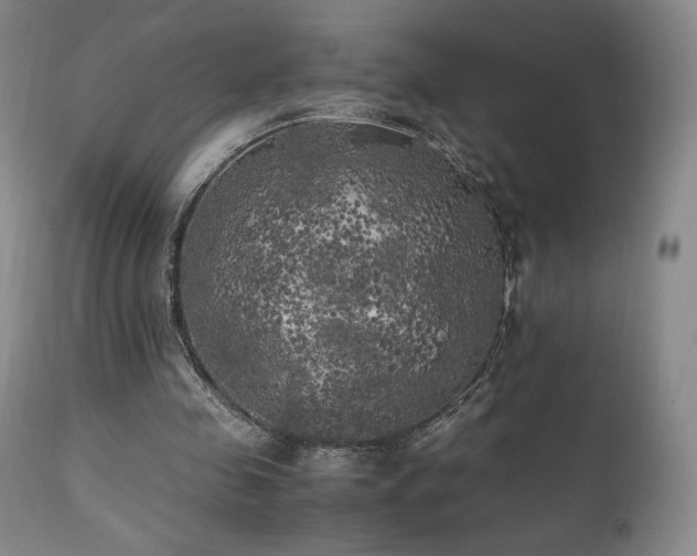 X0000111210341200907011450