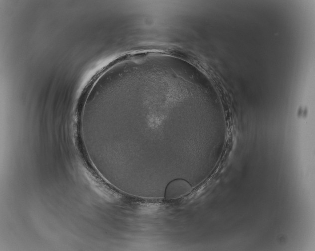 X0000111210342200907011450