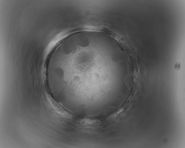 X0000111210343200907011450