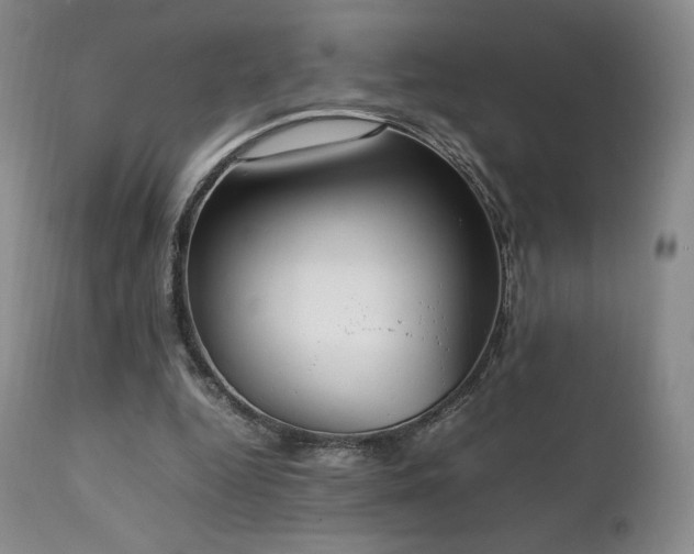 X0000111210344200907011450