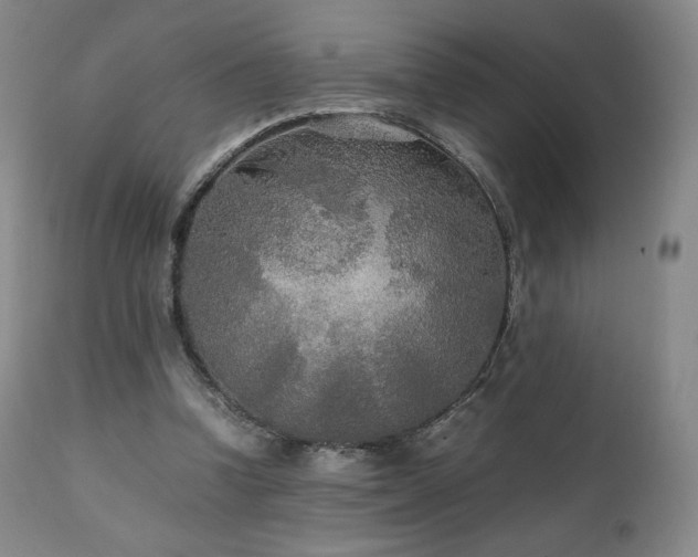 X0000111210346200907011450