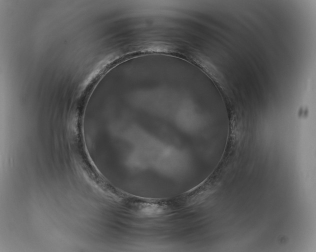 X0000111210347200907011450