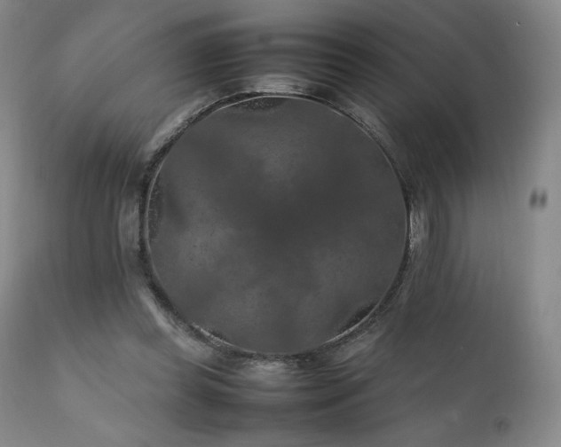 X0000111210349200907011450