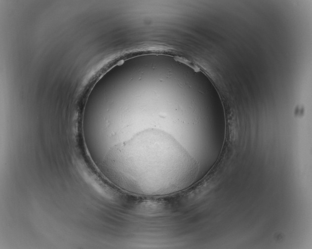 X0000111210350200907011450